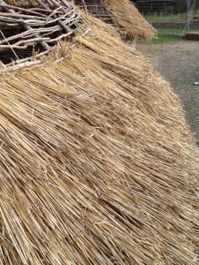 Looking down on the thatched eaves of building 851